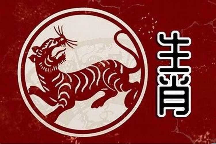 女虎与男兔的婚配如何？女兔男虎婚配是否合适