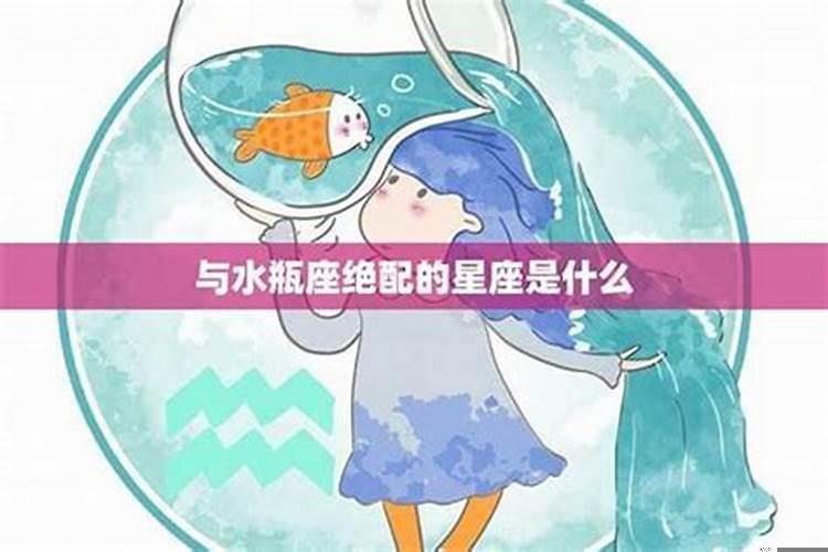 双子男和水瓶女适合在一起吗？属鼠的水瓶男跟属兔的双子女配吗
