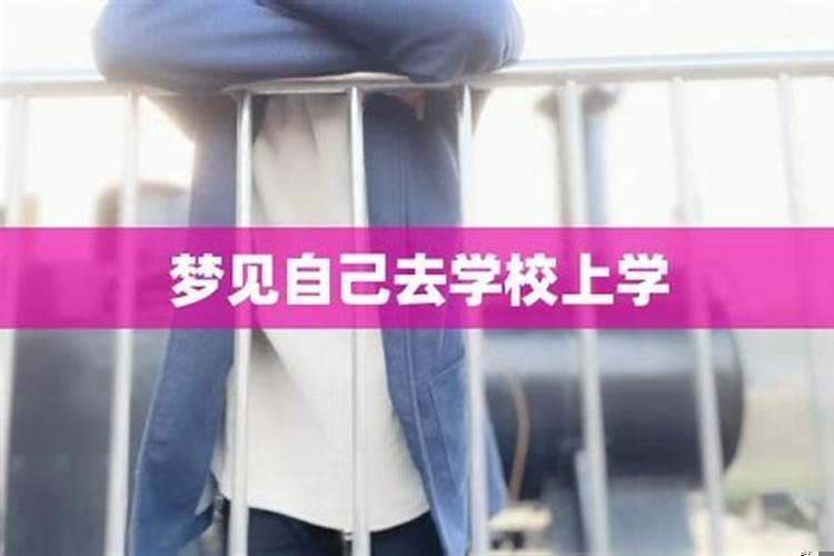 梦见自己又去上学读书（梦见进学校上学）