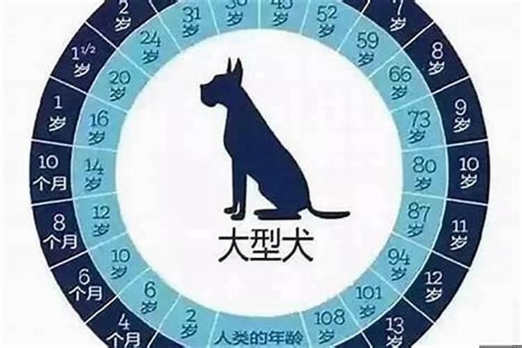 1994属狗的今年多大了？2025年属狗的虚岁多大