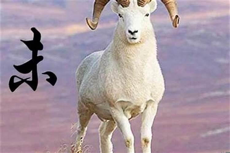 属羊的人2025年的运势及运程(怎么破解属羊的今年不顺)