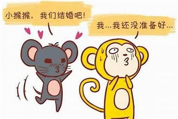 男属狗女属鼠的婚姻相配吗