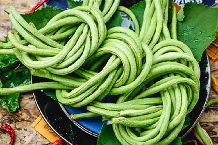 梦见豆角架上全是豆角，梦见长豆角是什么意思周公解梦