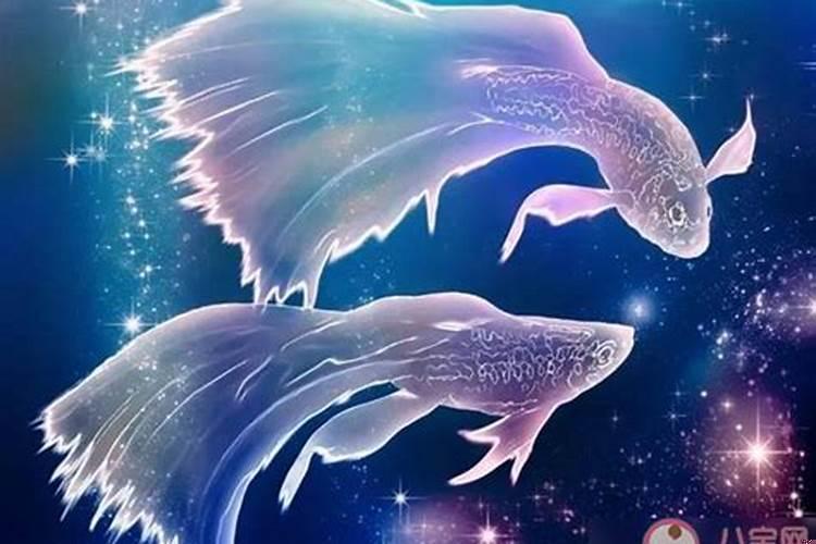陶陶白是什么星座？双鱼座的人对父母好不好