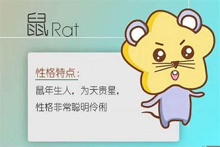 你是什么属相就是什么命？84年属鼠女的事业运势