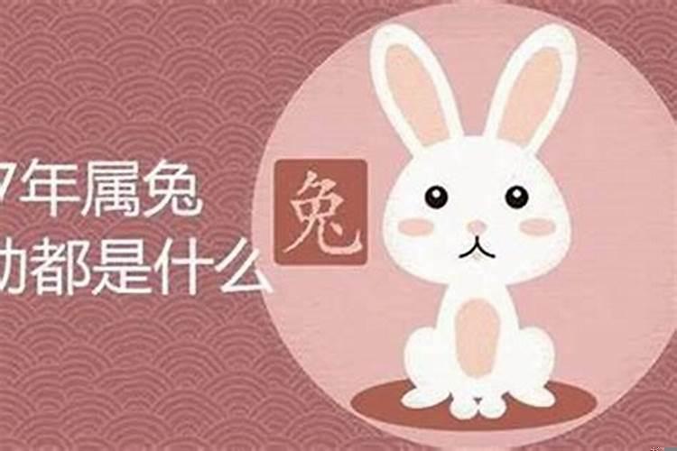63年兔男命中有一劫(癸卯年发生什么事)