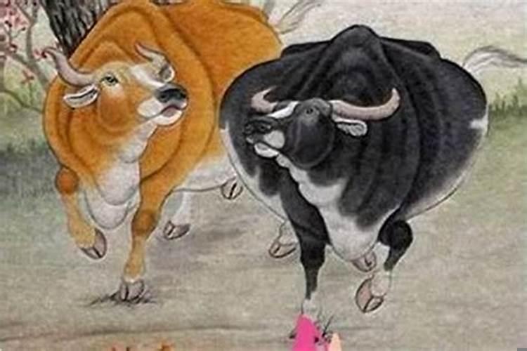 属牛和哪些属相相冲