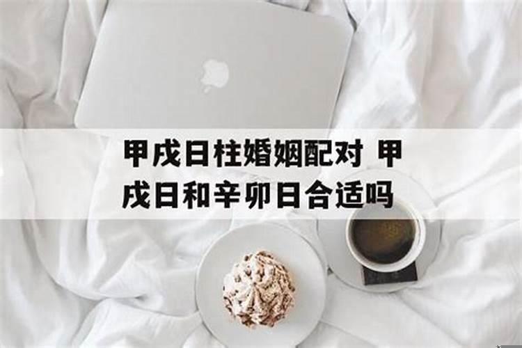 壬戌壬寅丙子辛卯男婚期