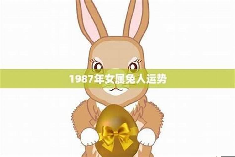 1987年属兔财运怎么样婚姻怎么样