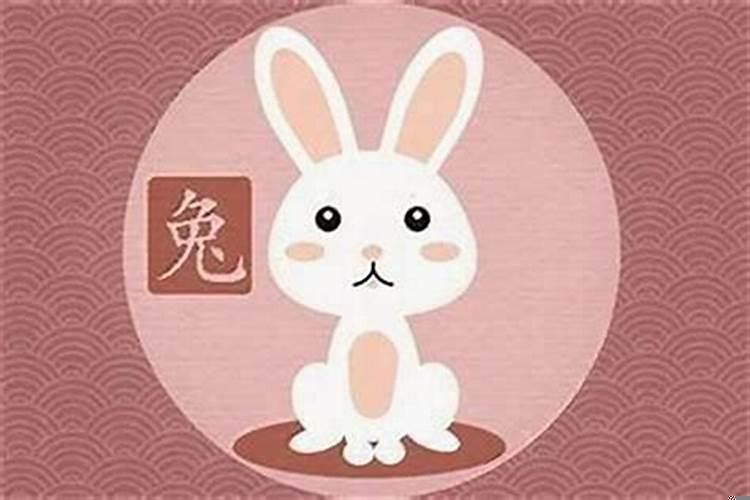 属兔女的和什么属相最配婚姻最合适