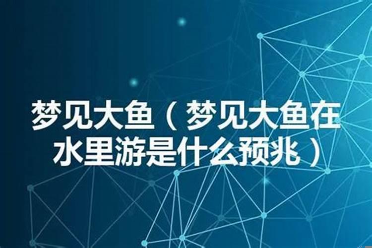 梦到到鱼是什么意思？梦见买了鱼是什么意思周公解梦m