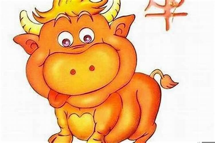 属牛的人可以佩戴什么生肖