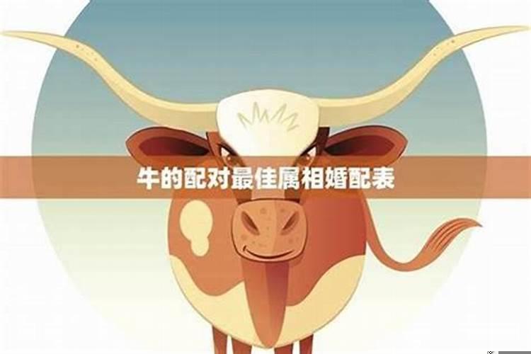 生肖适合结婚年龄