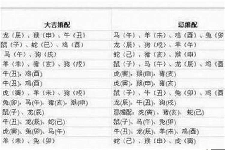 1982年属狗会离婚吗男