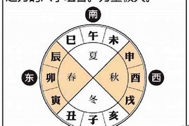 丙戌日柱己亥时女命