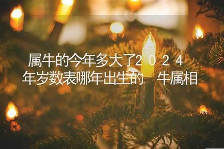 属牛的多大年龄2021