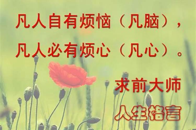 想学风水去哪里拜师好？有没有哪里学看风水的软件