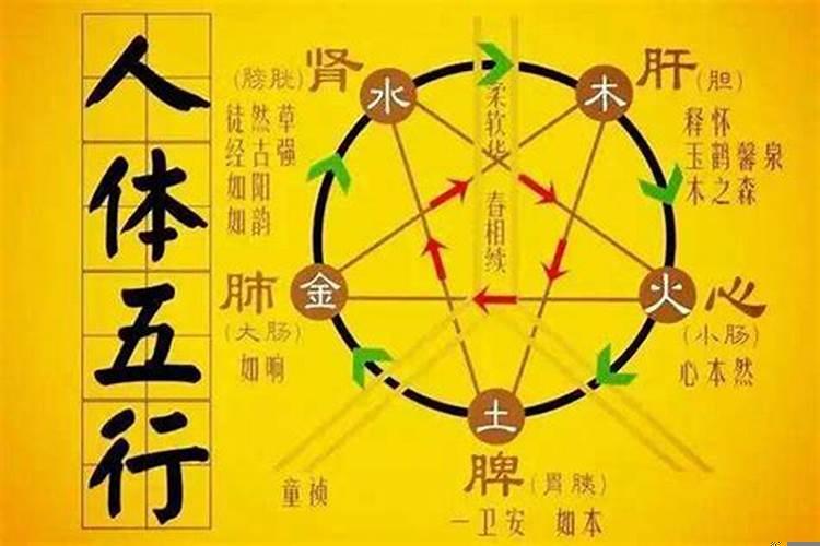 五运六气讲的是什么