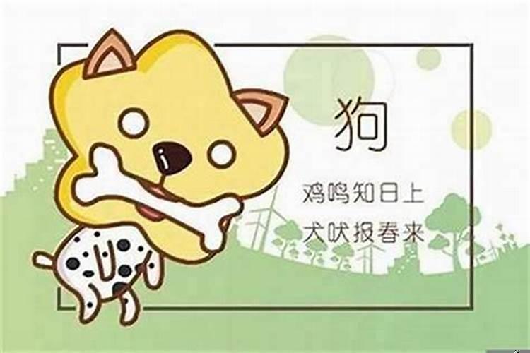 94年属狗的跟94年属狗的婚姻