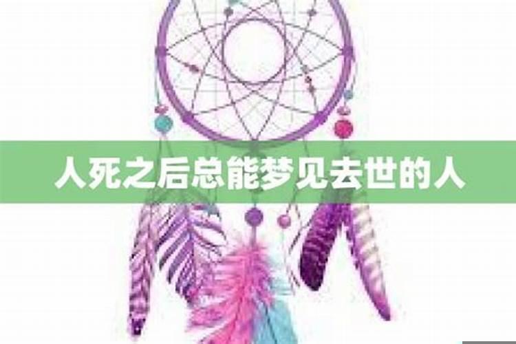 多次梦到类似的梦？梦见黑猫好不好周公解梦