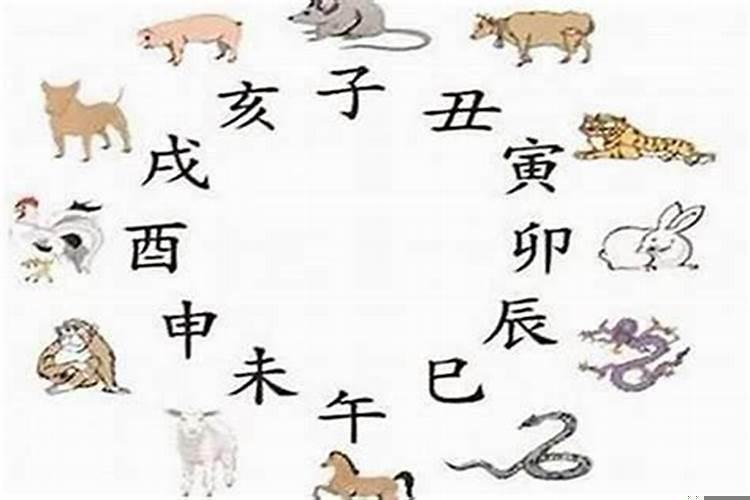 属蛇最佳婚配属相什么命