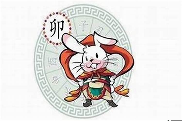 属兔的2025年多少岁