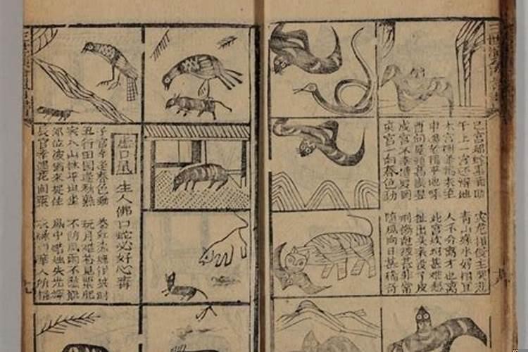 三世演禽看命