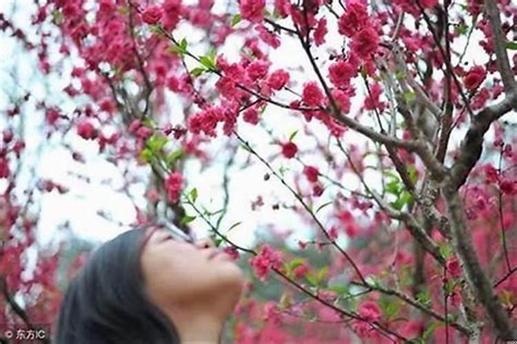 如何化解桃花劫男人