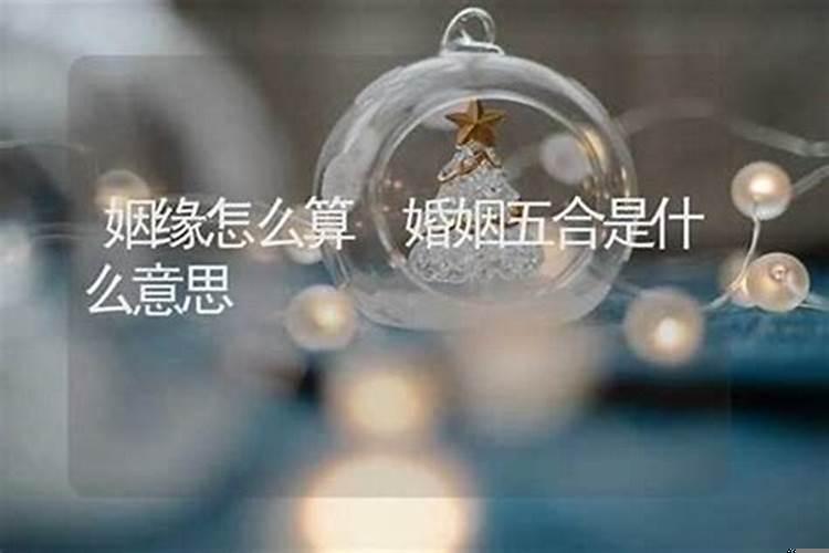 婚姻的劫数