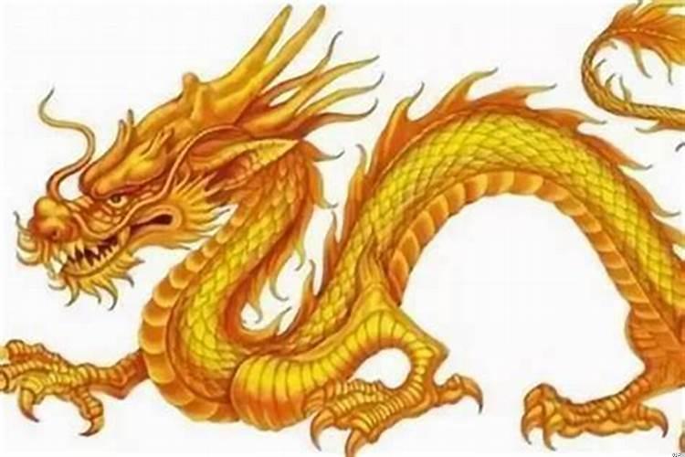 1988年属龙七月生的命运怎样