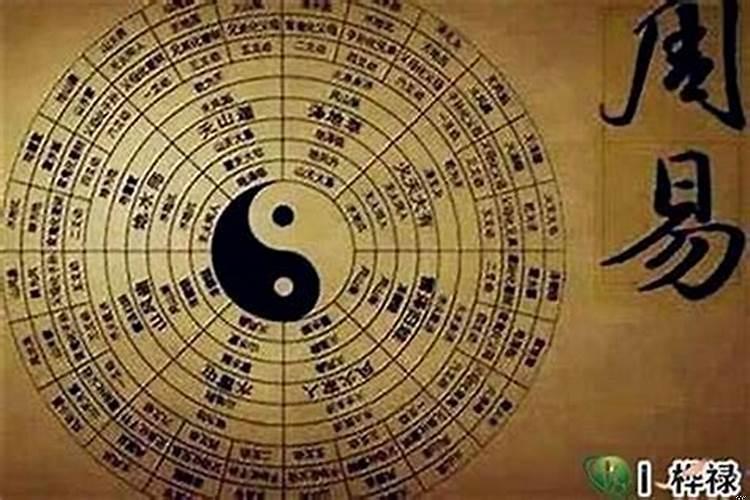 大师讲命理