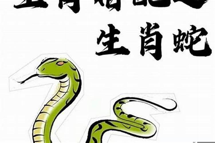 属蛇最佳婚配属相什么命