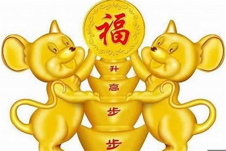 属鼠的婚配最佳是什么