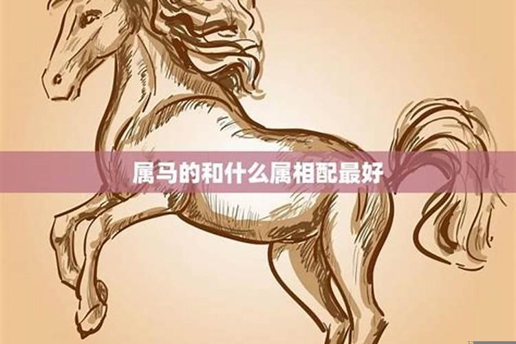 属相马和什么属相配对