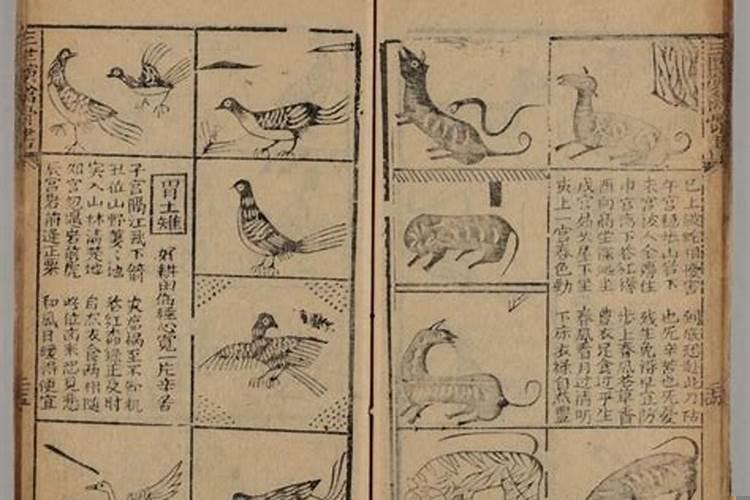 三世演禽看命