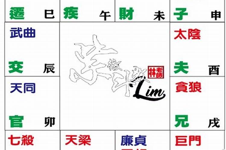 命宫代表的是什么生肖