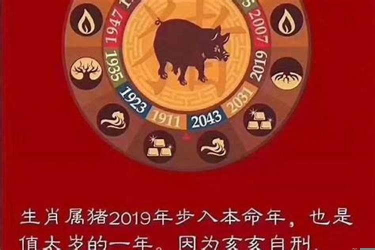 明年属相是什么生肖2022