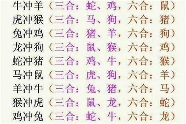 属相婚配犯冲