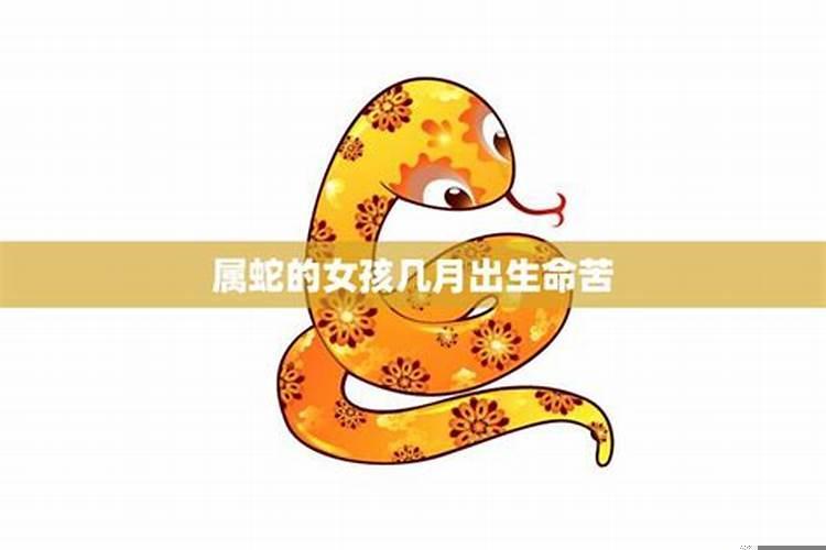 属蛇的女人难缠吗为什么