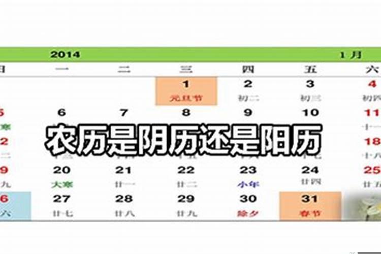 属相所说的月份是阴历还是阳历
