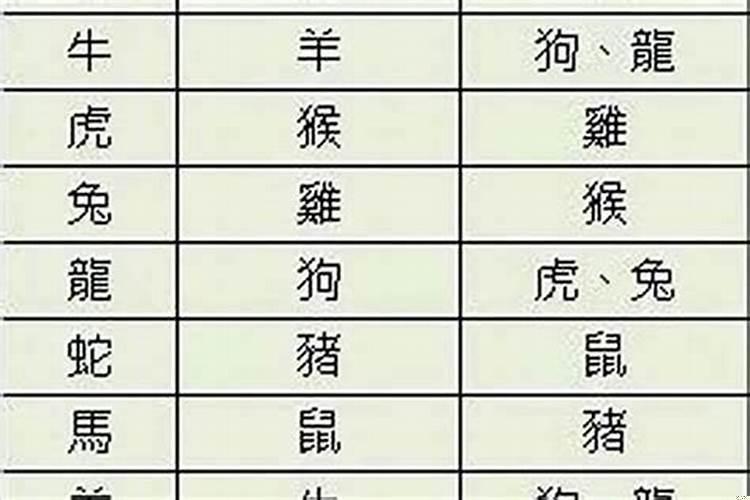 兔的配对属相婚配表