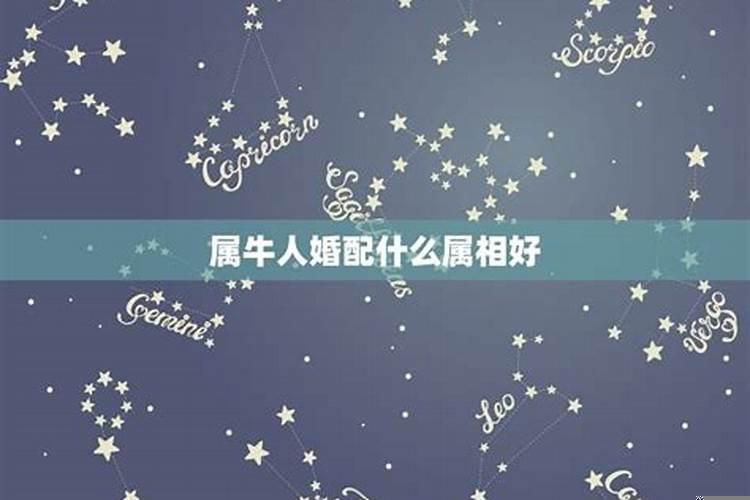 牛人的婚配