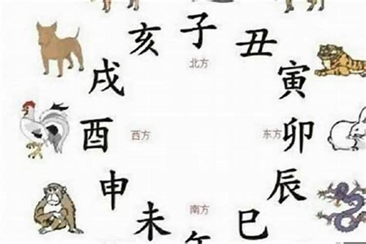 属虎的跟什么属相相合