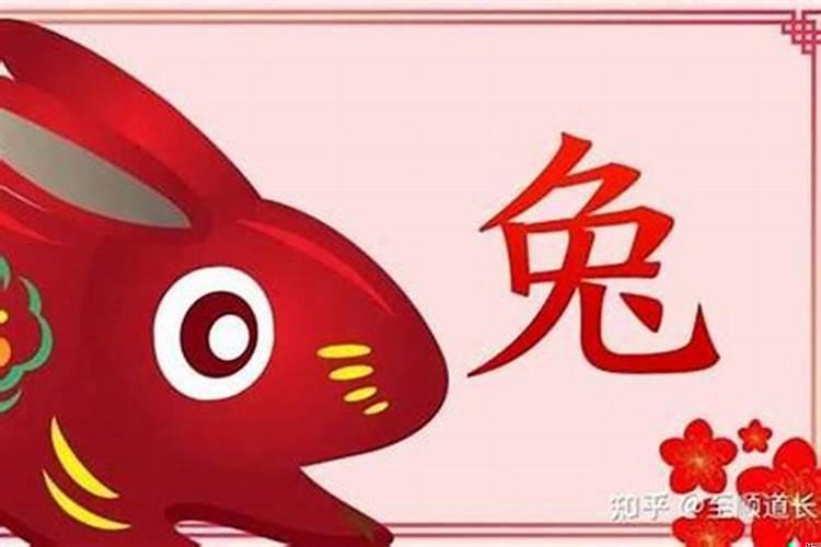 属兔2025年运势及运程1987年的兔