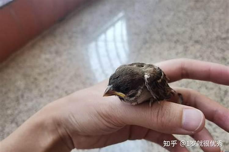梦见别人破旧的房子什么意思