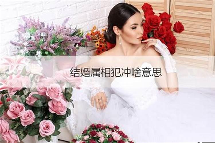 属相婚配犯冲