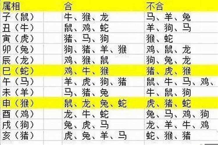 属相小人是什么意思