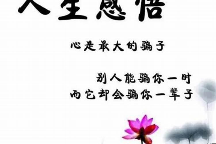 本命年感概