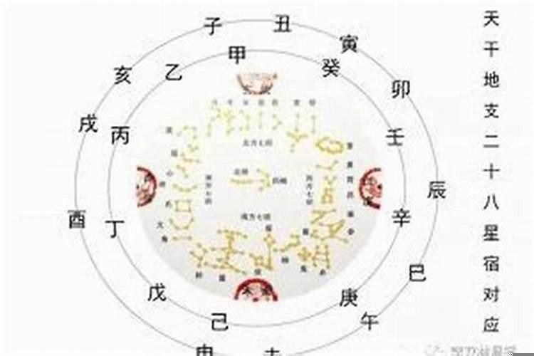 脚大脚粗的女人好不好