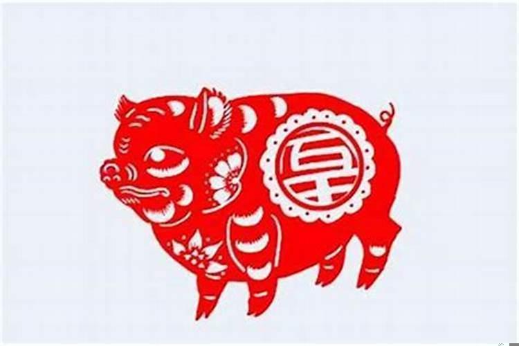 女属猪最配的属相是什么